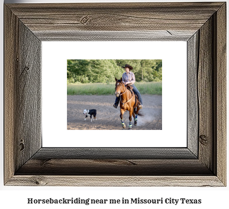 horseback riding near me in Missouri City, Texas